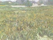 Vincent Van Gogh Wheat Field at Auvers with White House (nn04) USA oil painting artist